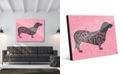 Creative Gallery Traits Dachshund Dog in Grey on Pink 20" x 24" Acrylic Wall Art Print